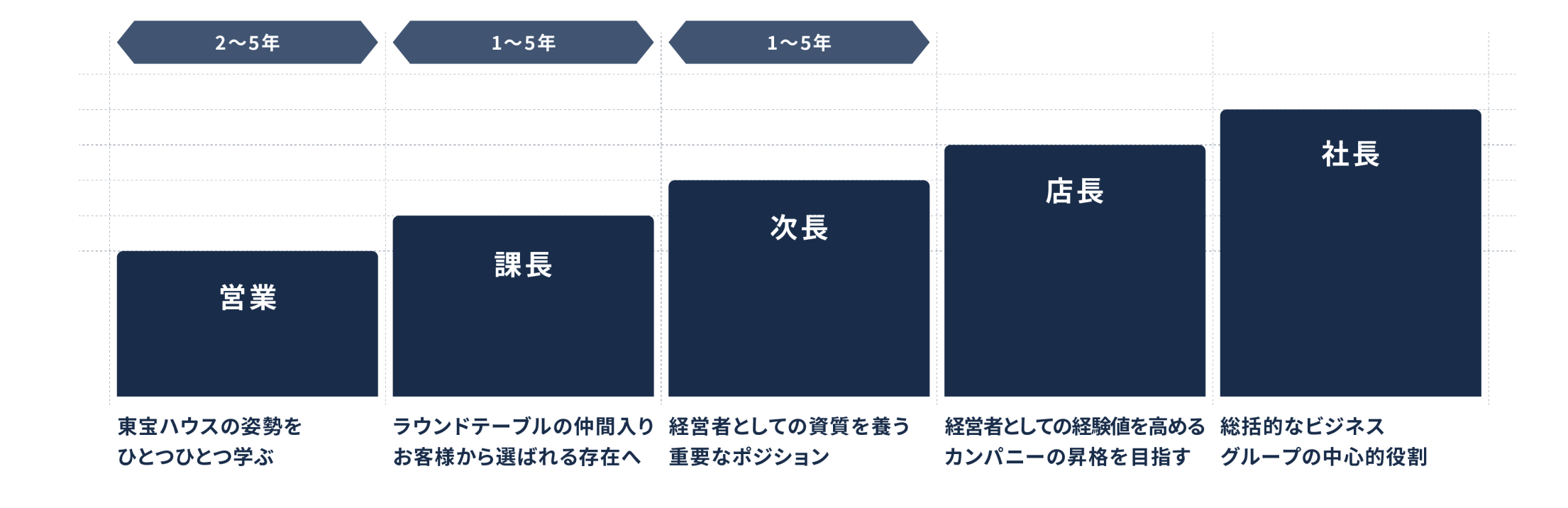 キャリアステップ（営業から社長へ）